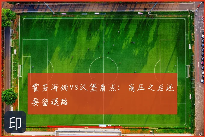 霍芬海姆vs汉堡看点:高压之后还要留退路