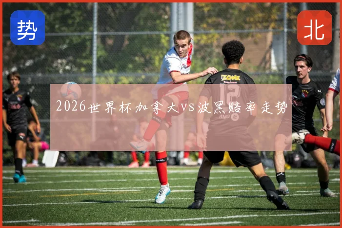 2026世界杯加拿大vs波黑赔率走势