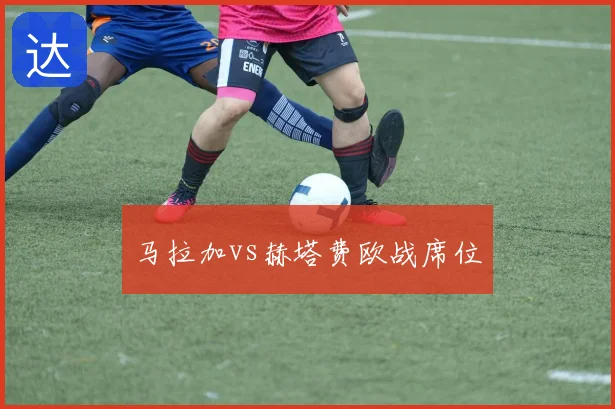 马拉加vs赫塔费欧战席位